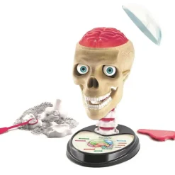 Clementoni Eksperiment - Crazy Anatomy