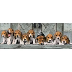 Clementoni Panorama Puslespill 1000 Brikker - Beagles