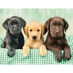 Clementoni Puslespill 1000 Brikker - Labrador