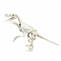 Clementoni Science & Fun ArcheoFun - Velociraptor
