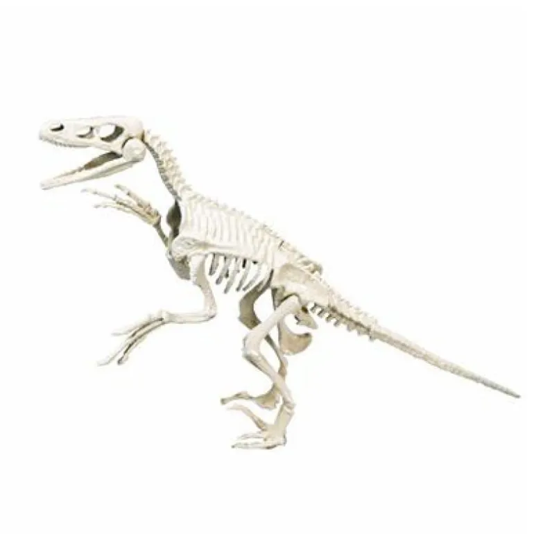 Clementoni Science & Fun ArcheoFun - Velociraptor