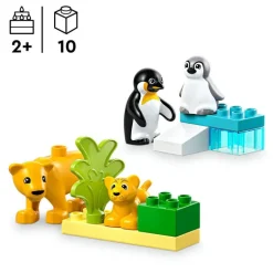 LEGO DUPLO Town - Villdyrfamilier: Pingviner og løver 10442