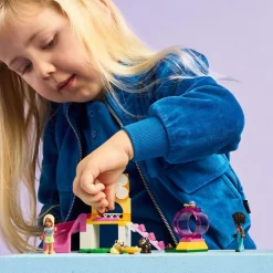 LEGO Friends - Valpelekeplass 42665