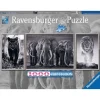 Ravensburger Puslespill 1000 Brikker - Svart/hvite dyr