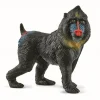 Schleich Wild Life Figur - Mandrill